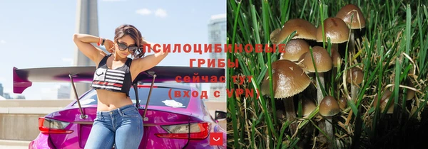 прущая мука Богородск