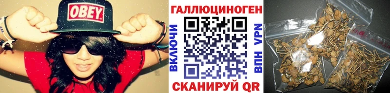 магазин    Десногорск  Псилоцибиновые грибы GOLDEN TEACHER 